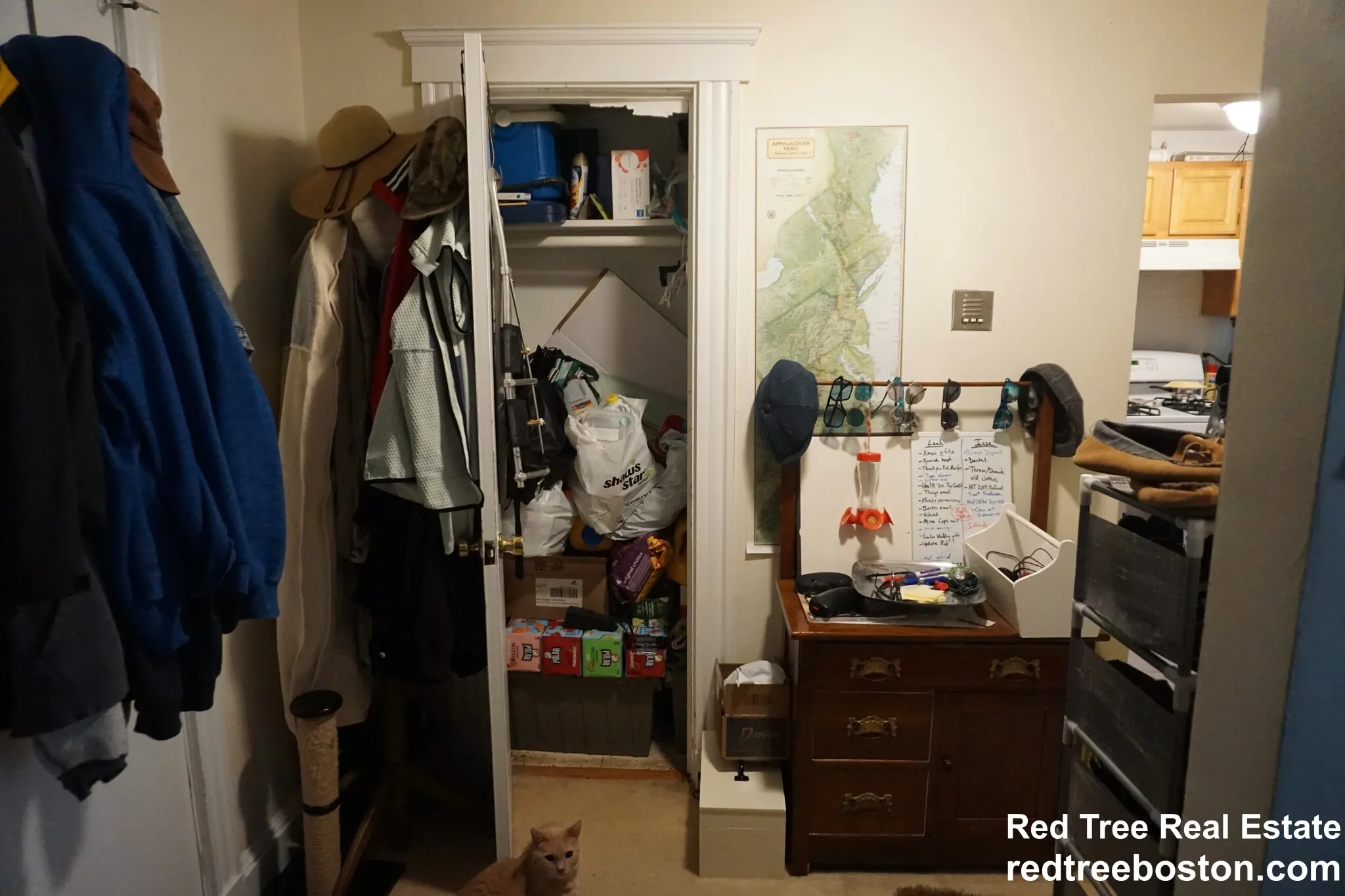 20 Colborne Rd, Brighton