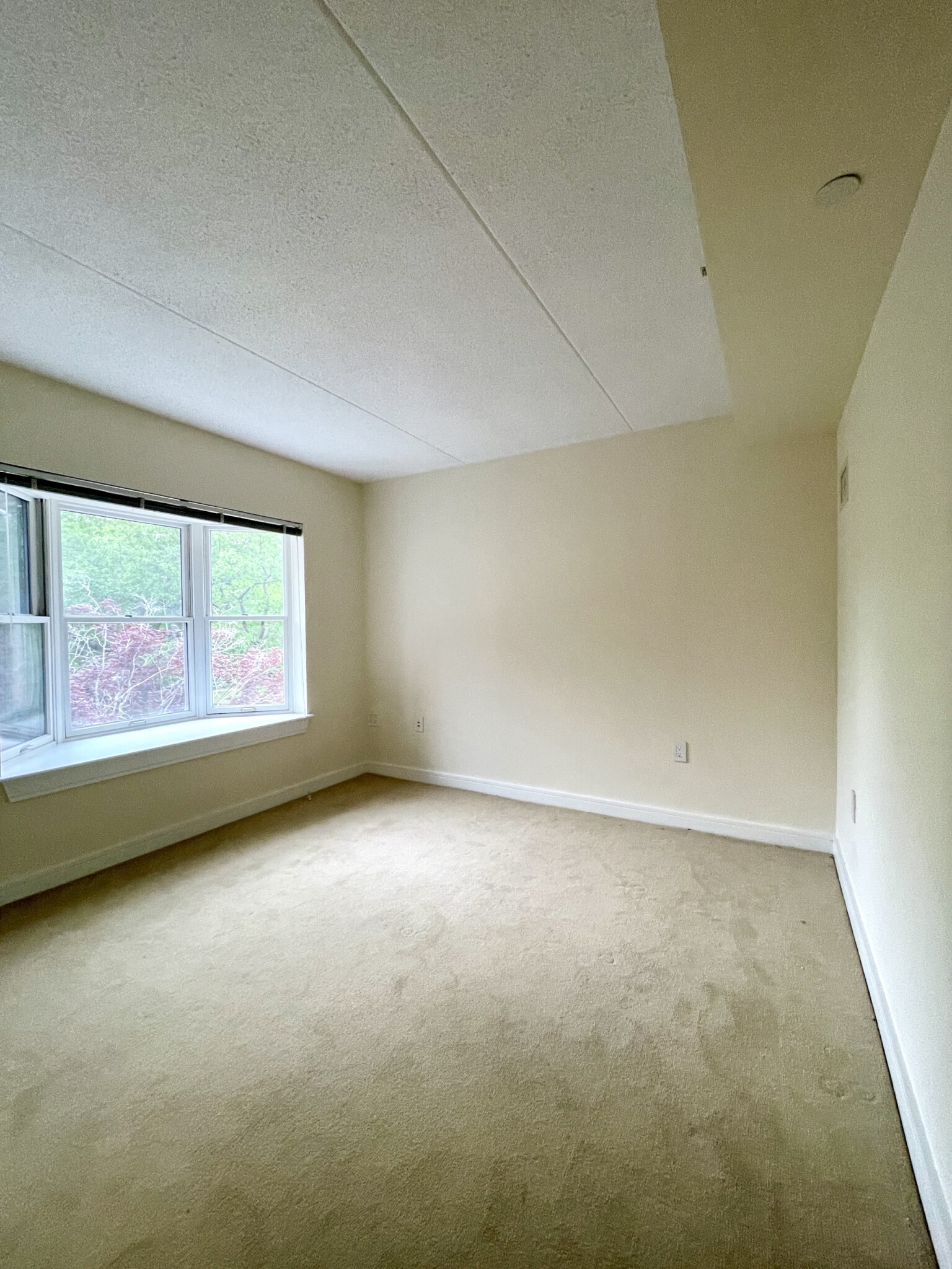 77 Marion St, Coolidge Corner