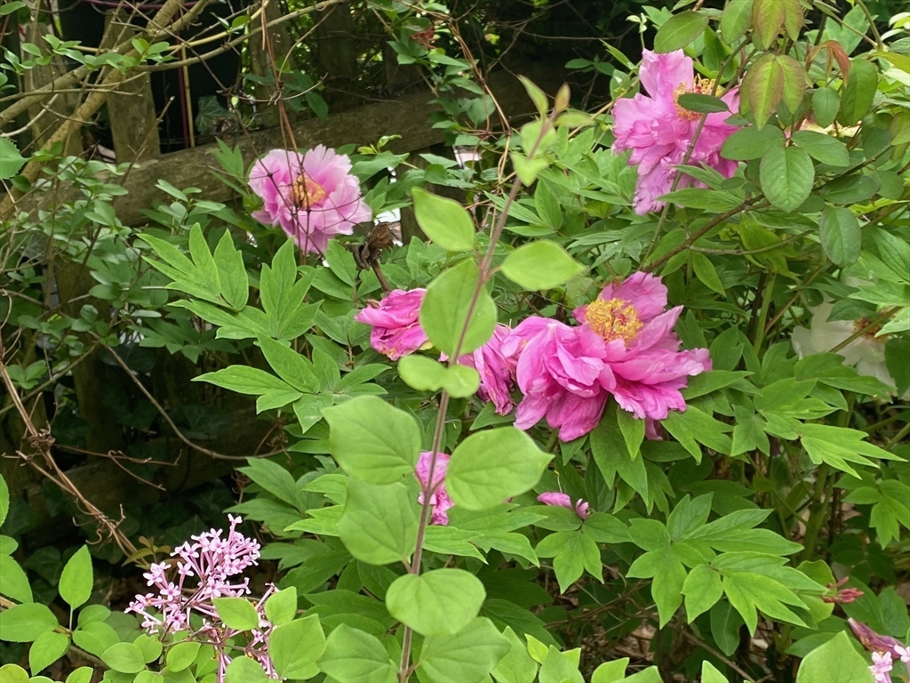 90 Robbins Rd, Arlington Heights