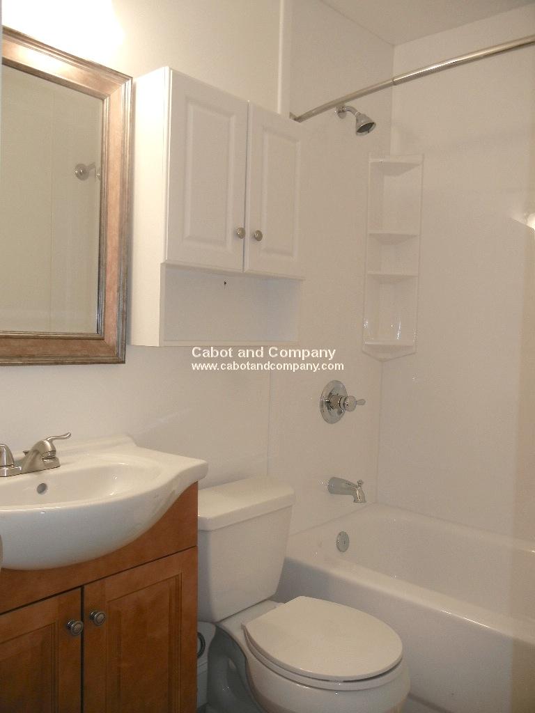 225 East Berkeley St, Roxbury