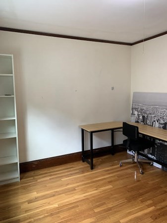 37 Grant Ave, Waverley