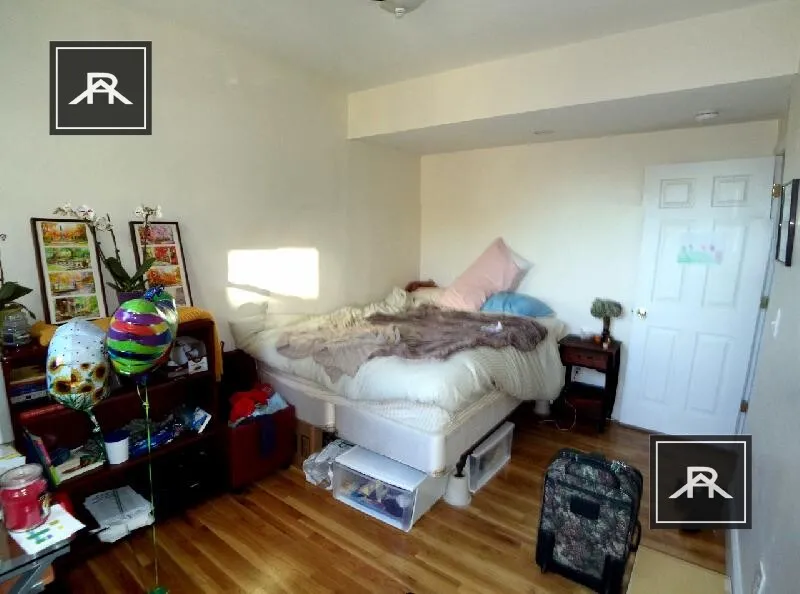 56 Egmont St, North Brookline