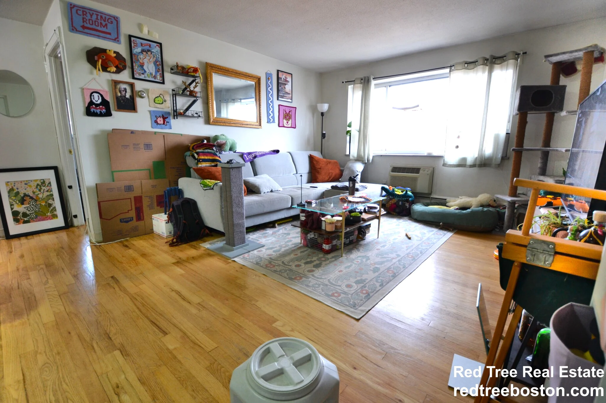 290 Corey Rd, Brighton