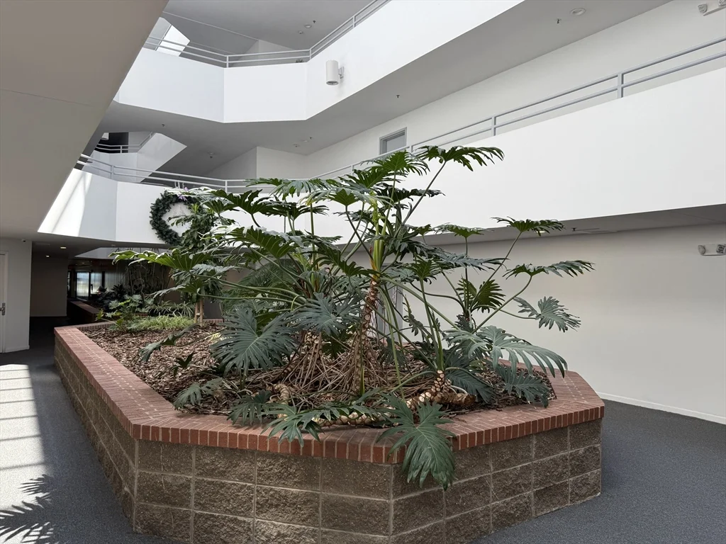 1 Carey Circle, Revere