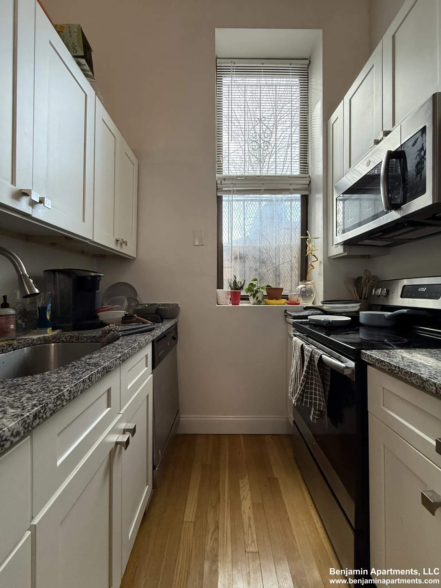 168 Northampton St, Roxbury