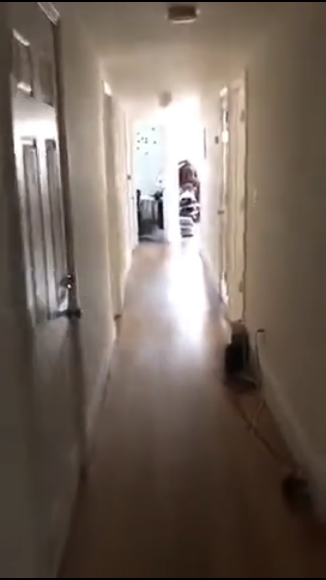 878 Huntington Ave, Mission Hill