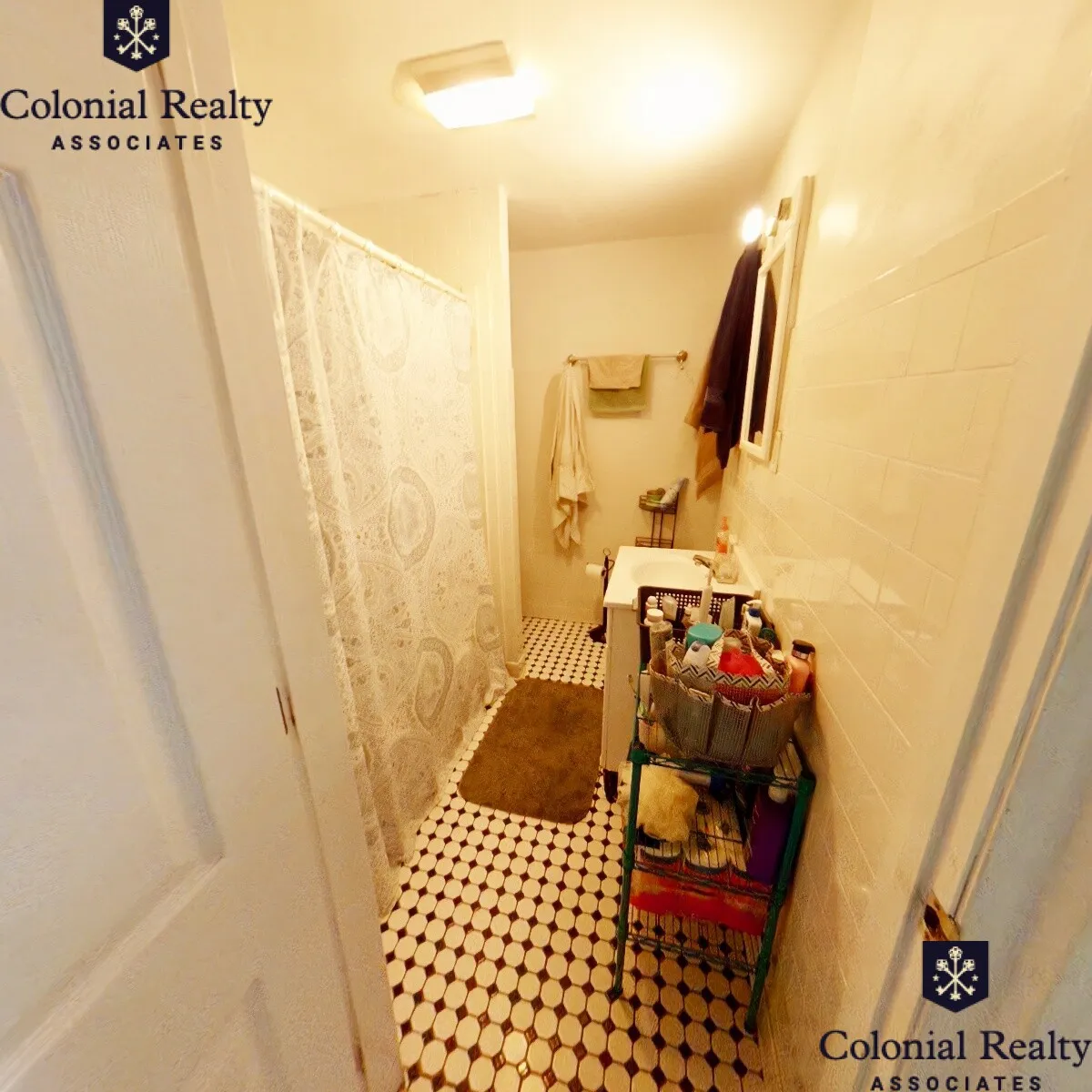 62 Egmont St, North Brookline