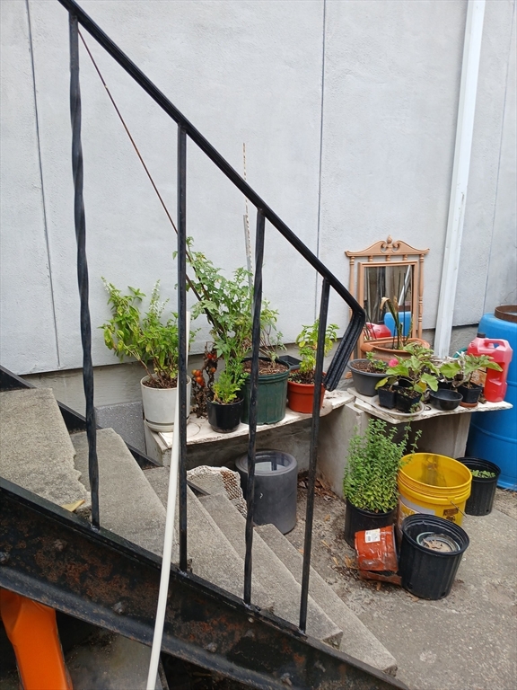 117 Auburn St, Medford