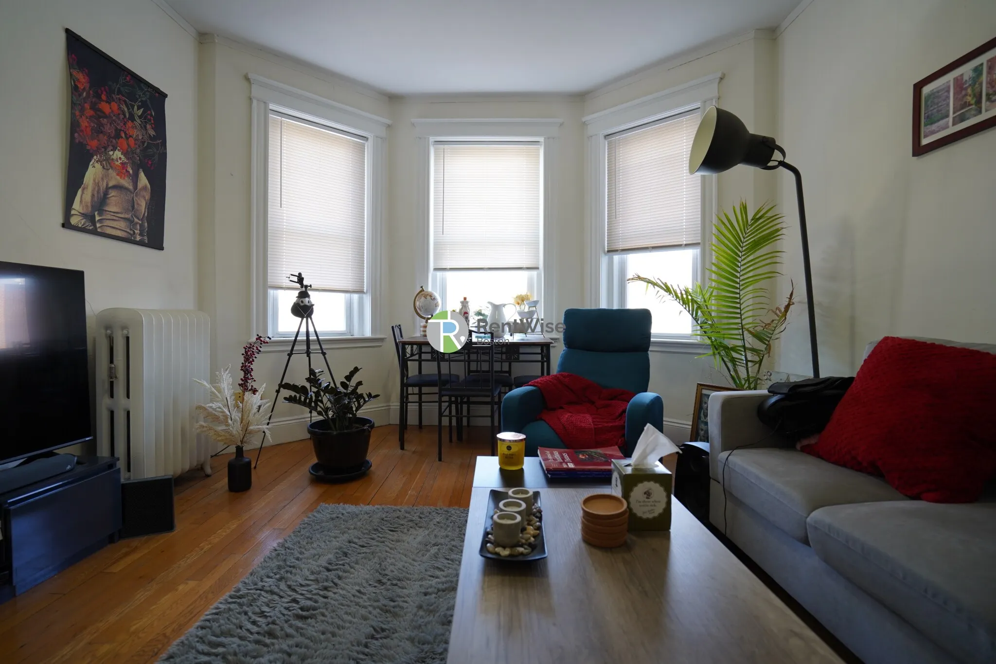 14 Orkney Rd, Brighton