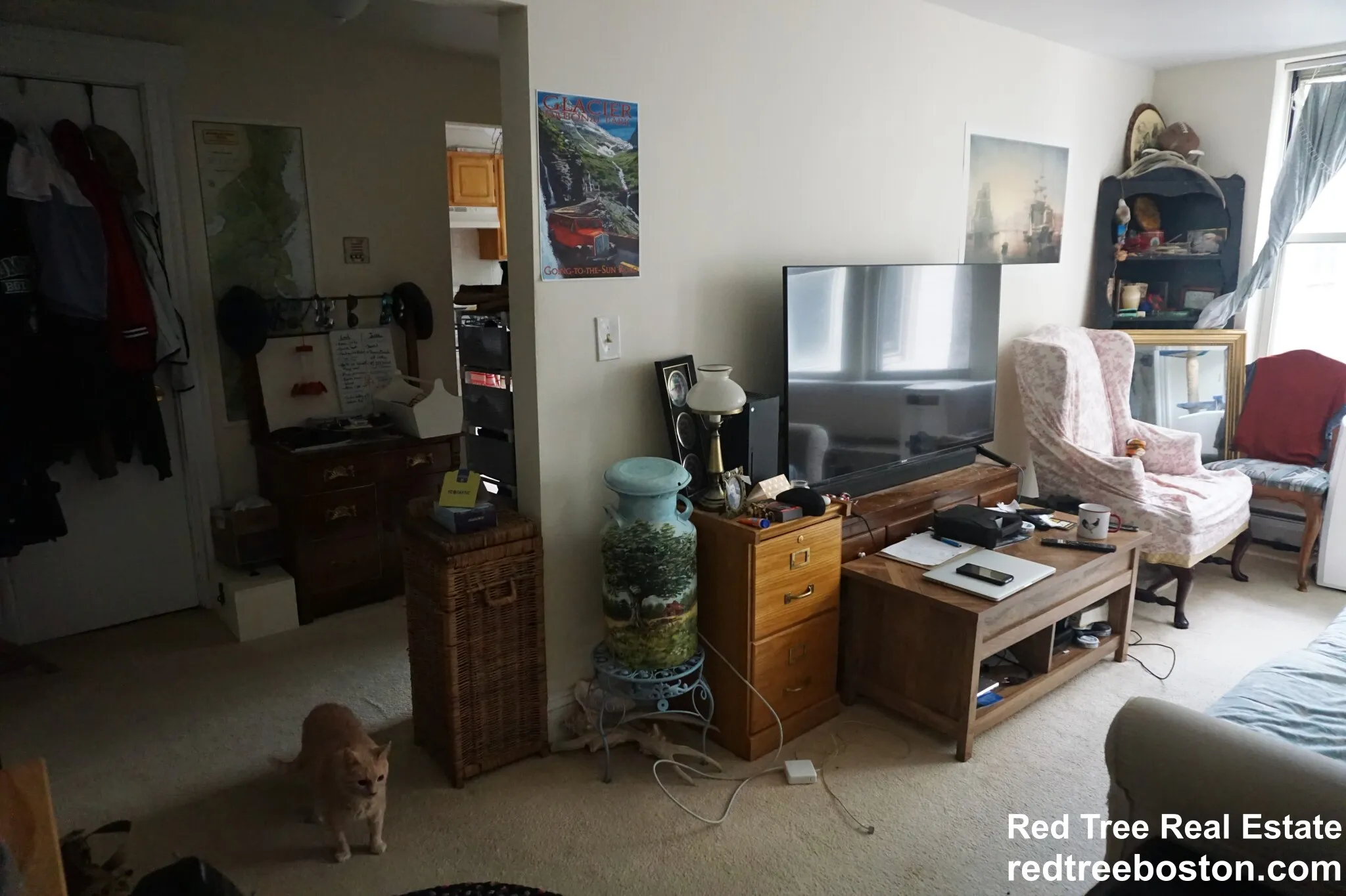 20 Colborne Rd, Brighton