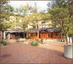 18 Lincoln St, Newton Highlands