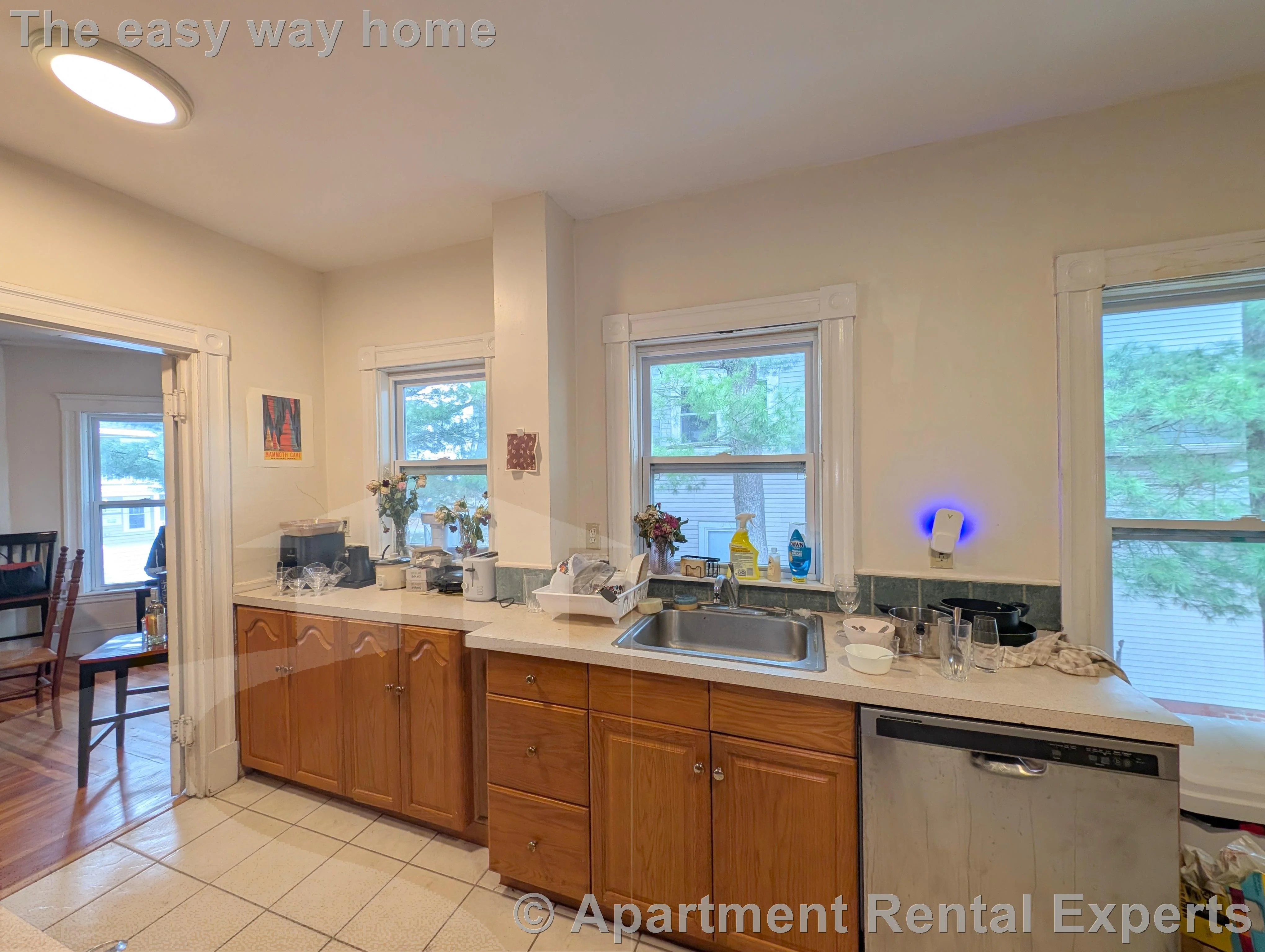 16 Curtis Ave, Tufts