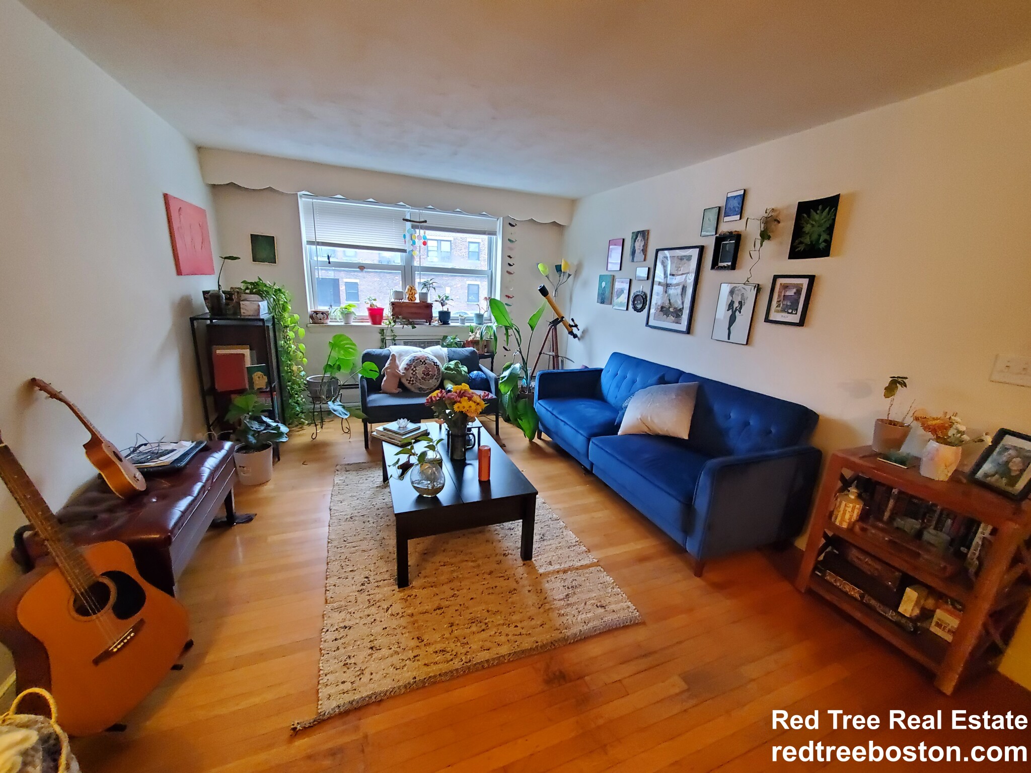 15 Commonwealth Ct, Brighton