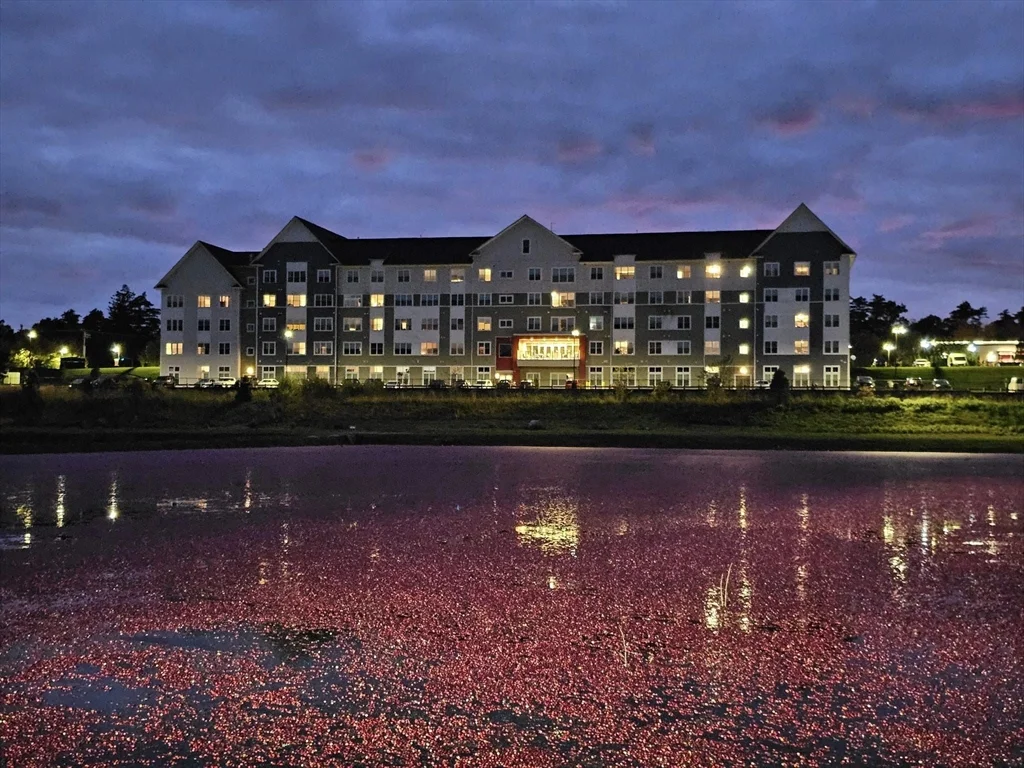 35 Rosebrook Pl, Wareham