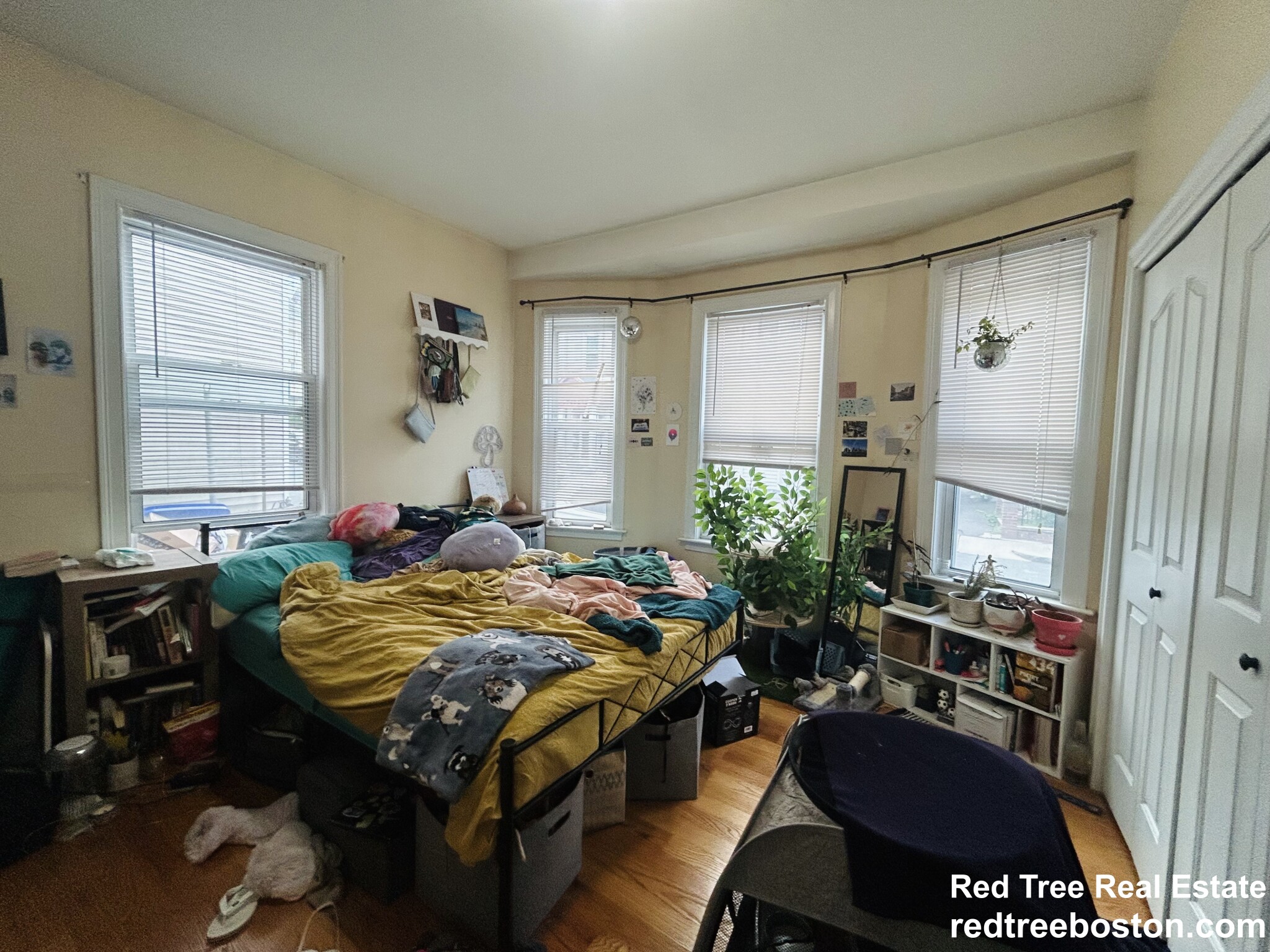 20 Armstrong St, Jamaica Plain