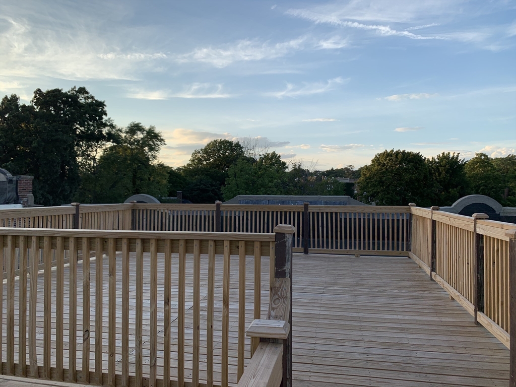 22 Orkney Rd, Brighton