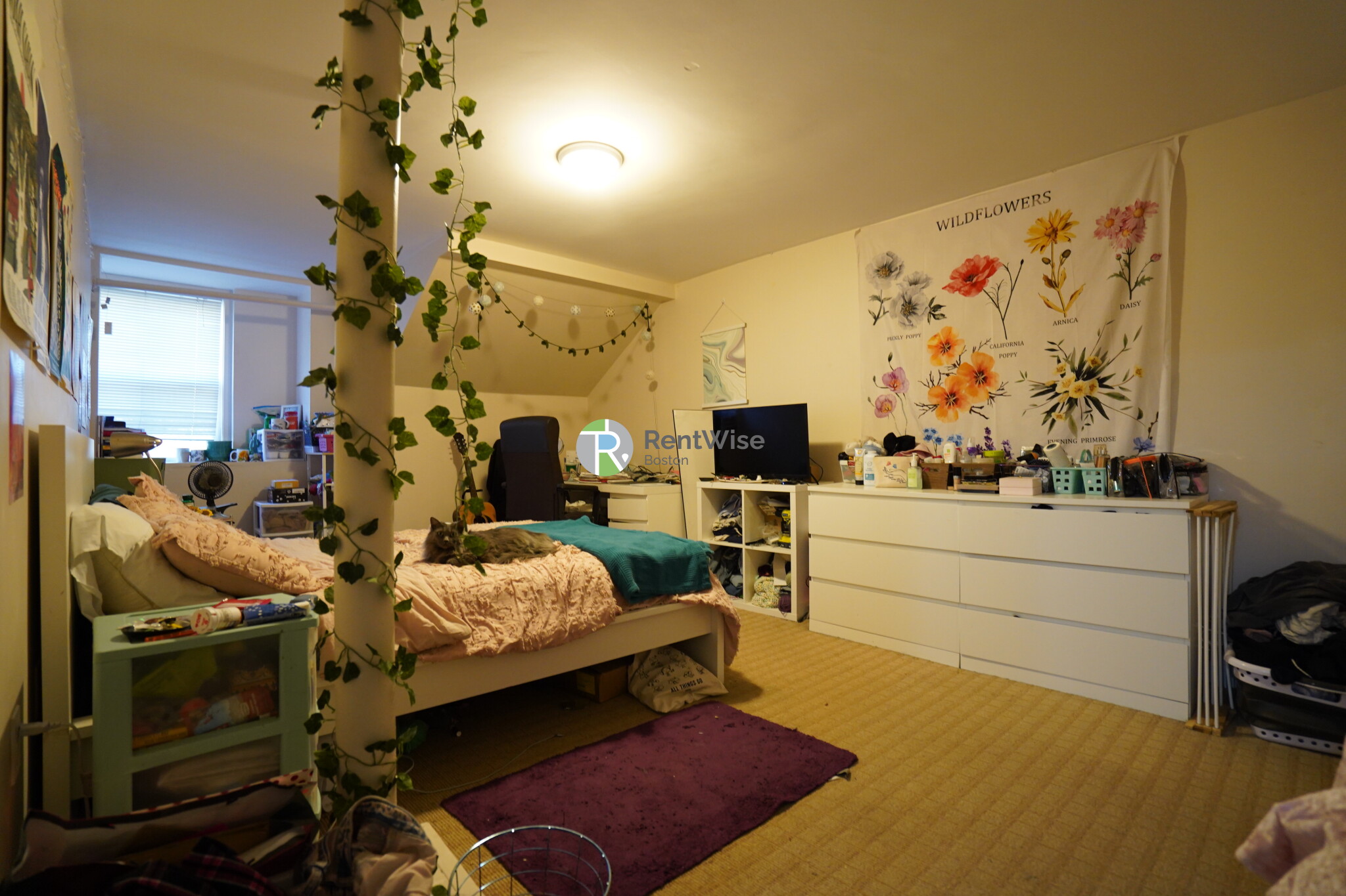 19 Saint Lukes Rd, Brighton