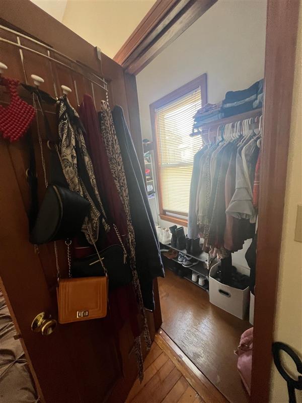 51 Elm St, Spring Hill