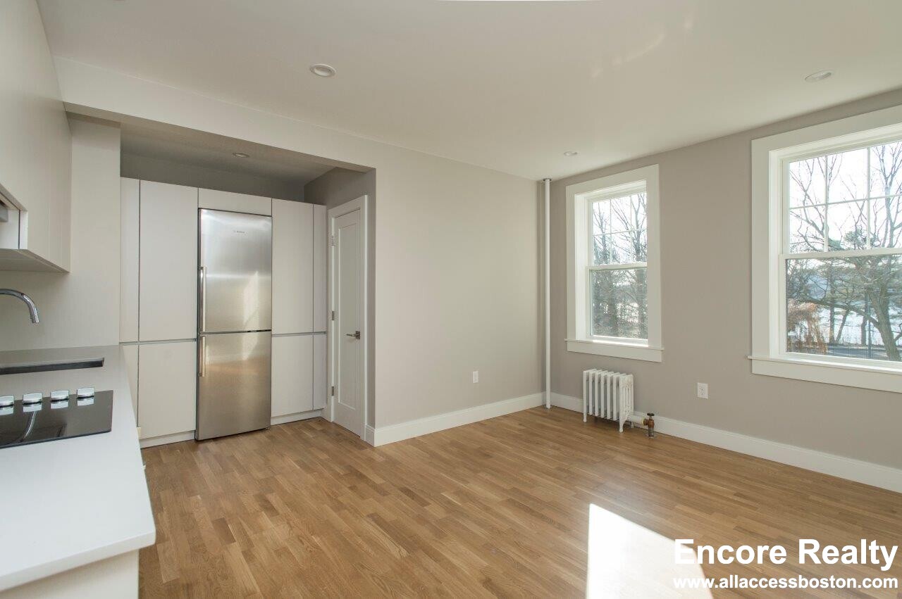 288 Chestnut Hill Ave, Brighton