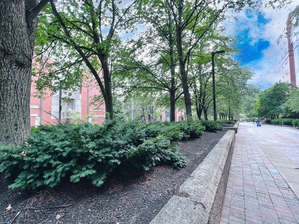 34 Yarmouth St, South End