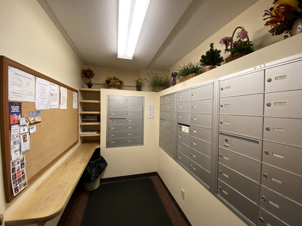 47 Mystic St, Arlington