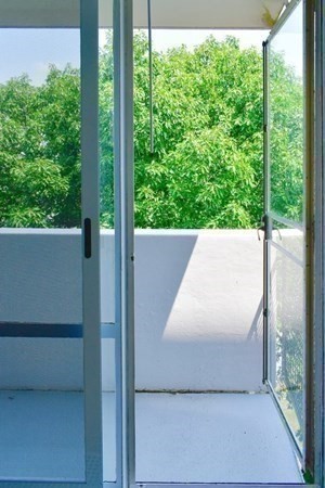 29 Concord Ave, Harvard Square