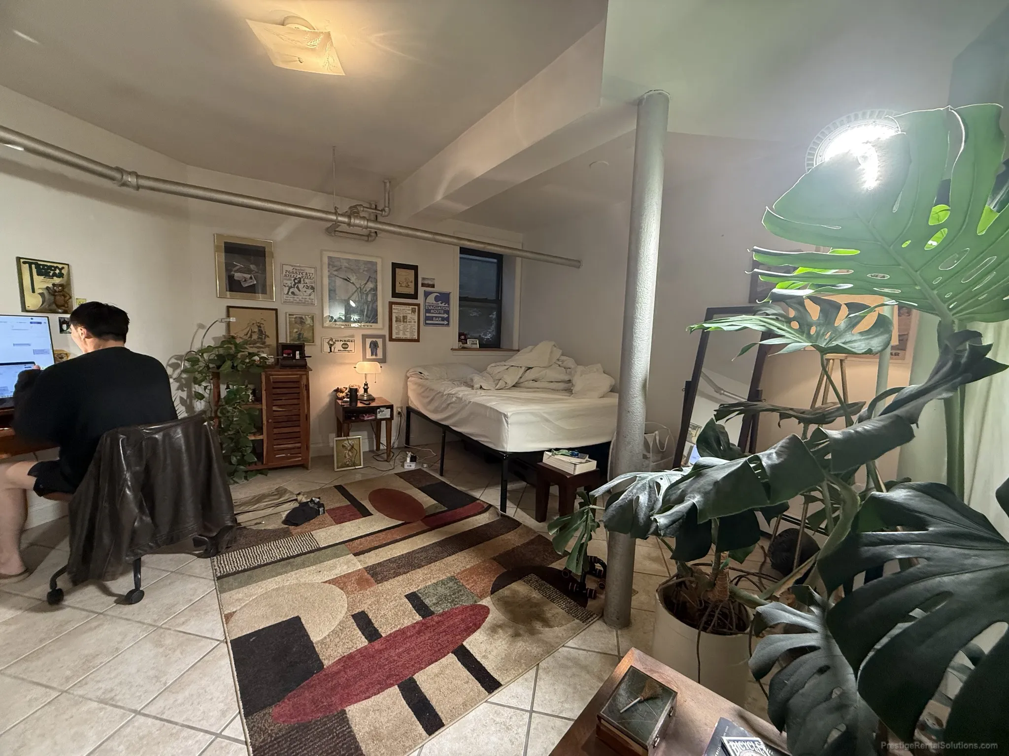 17 Cummings Rd, Brighton