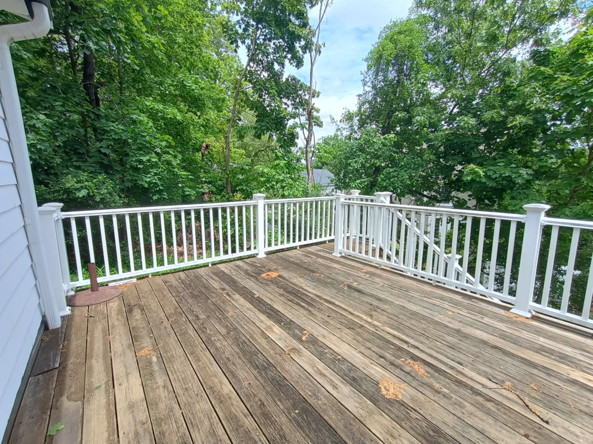 67 Cliffe Ave, Lexington