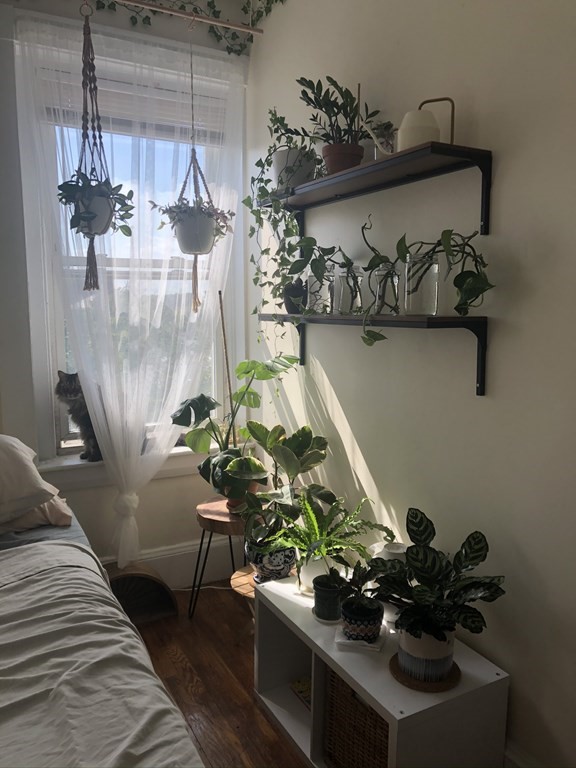 208A Washington St, Prospect Hill