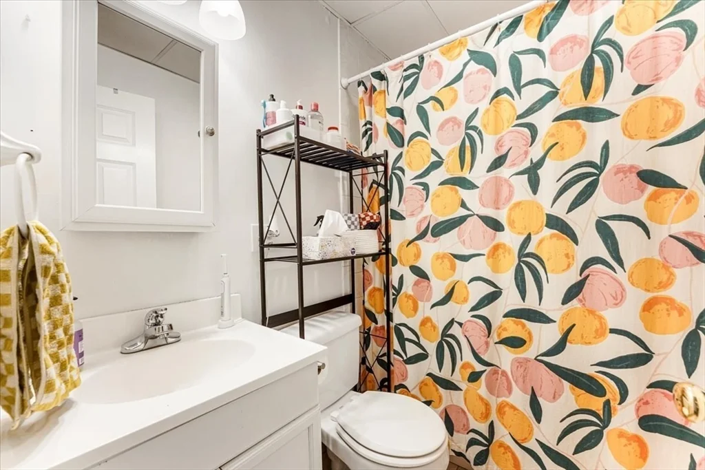 19 Harris St, North End