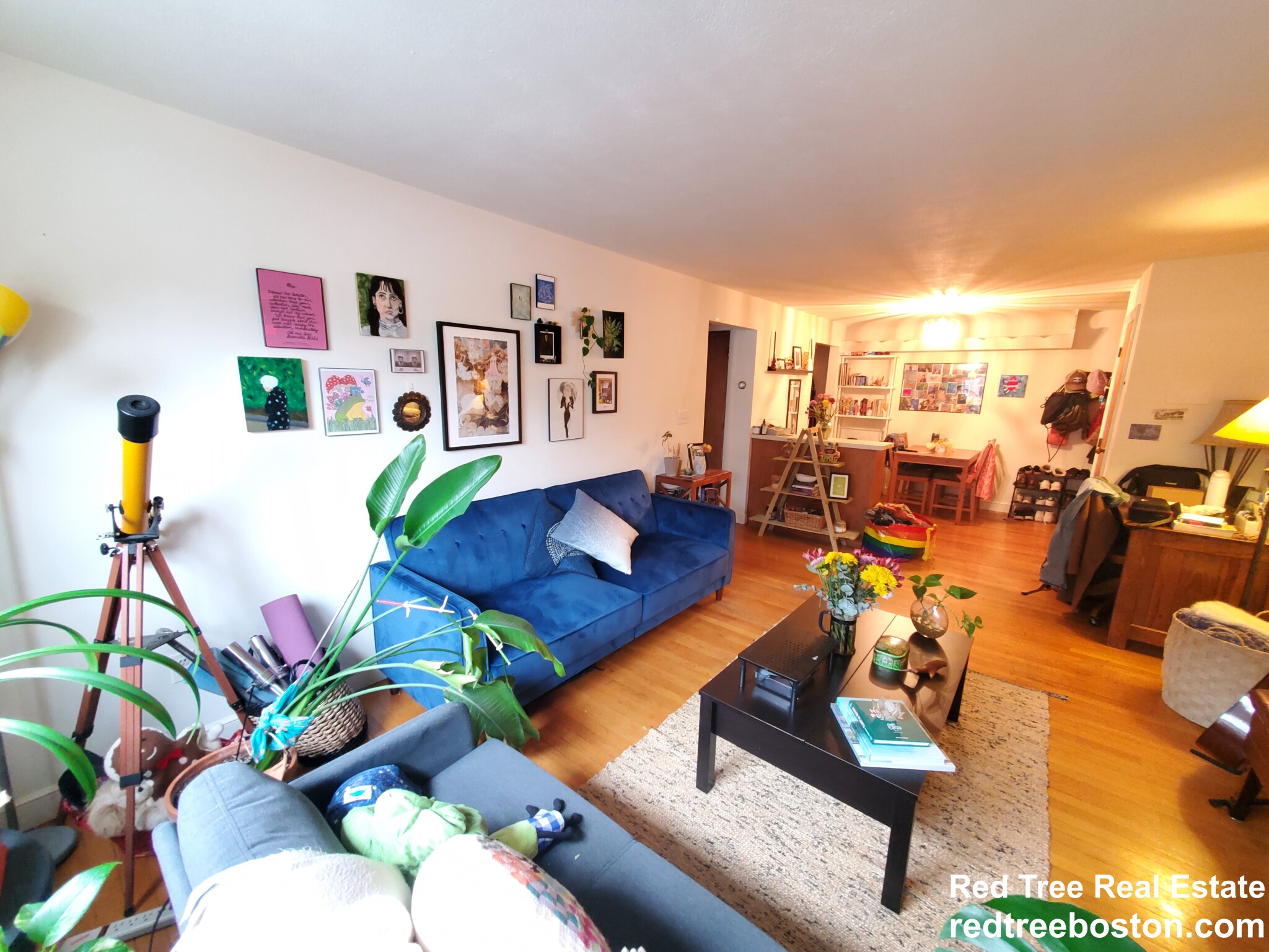 15 Commonwealth Ct, Brighton