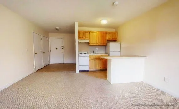 66 Homer Ave, West Cambridge