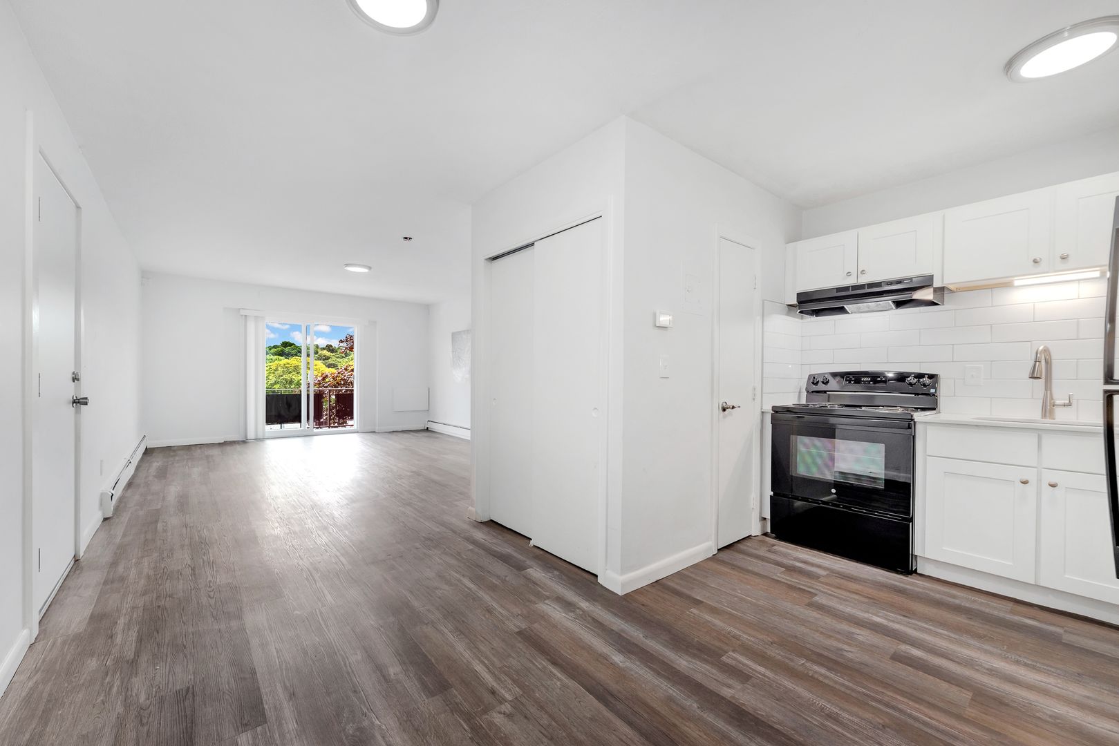 1045 River St, Hyde Park