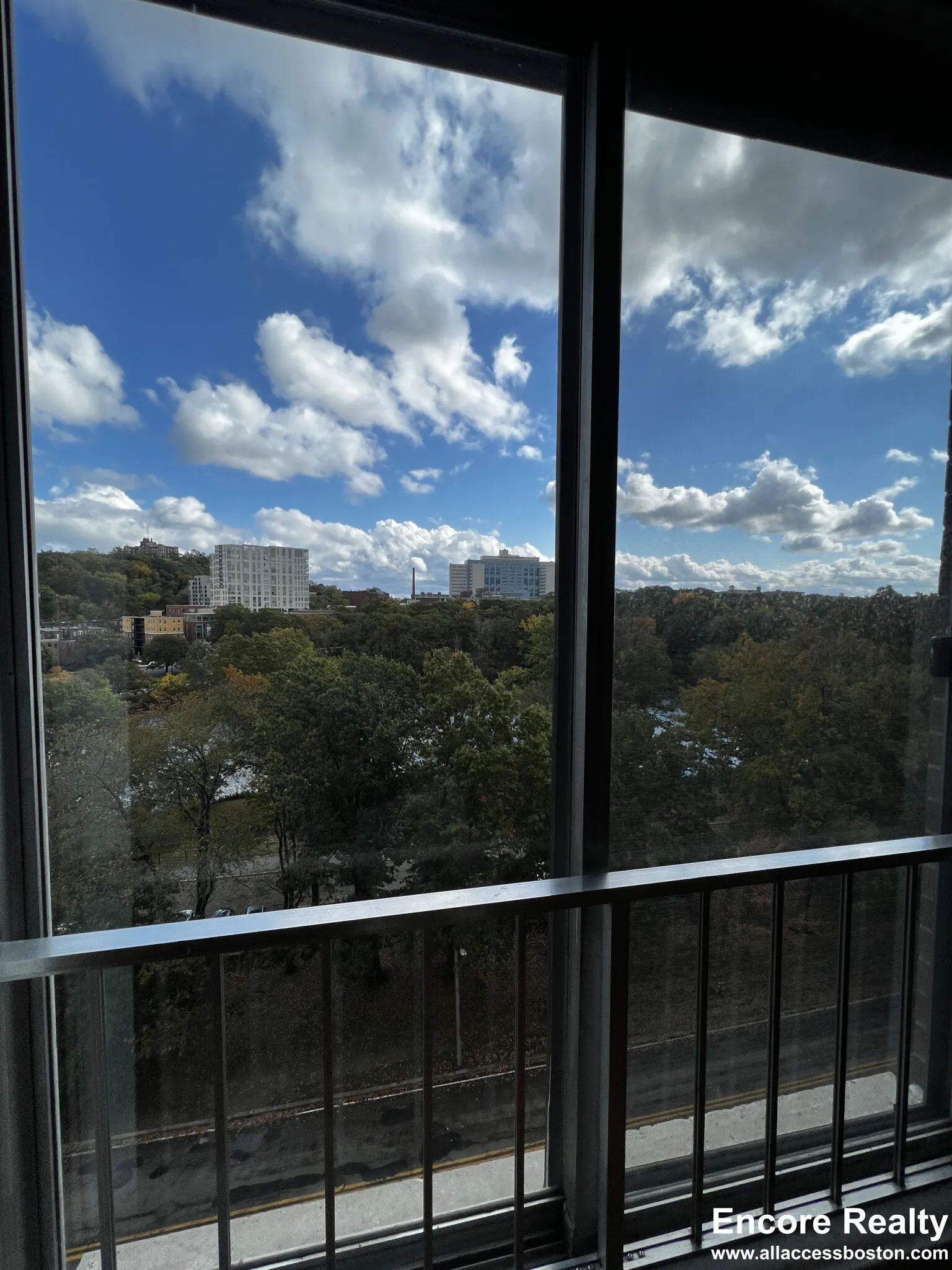 77 Pond Ave, Brookline Village