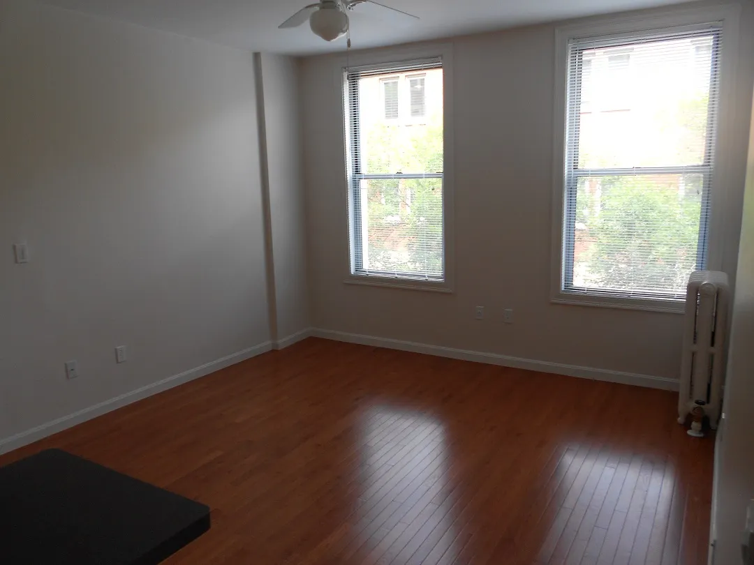 18 Haviland St, Fenway