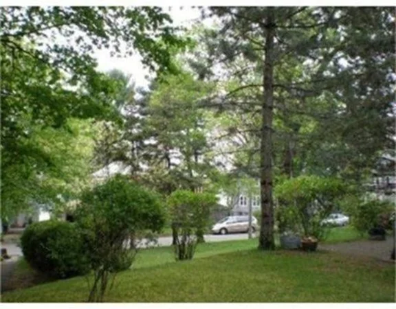 7 Fairfax Rd, Milton