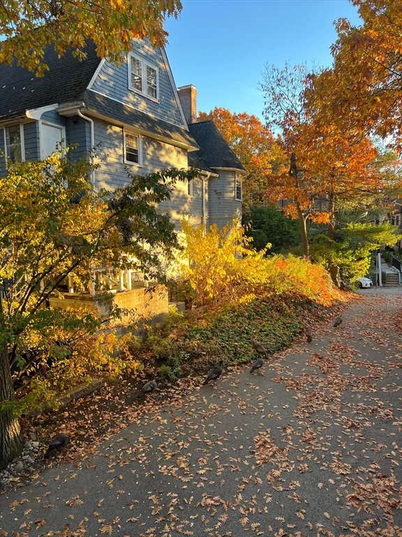 117 Sutherland Rd, Brighton
