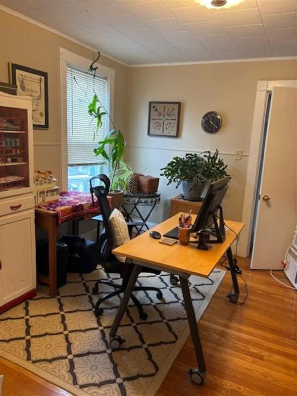 14 Virginia St, Winter Hill