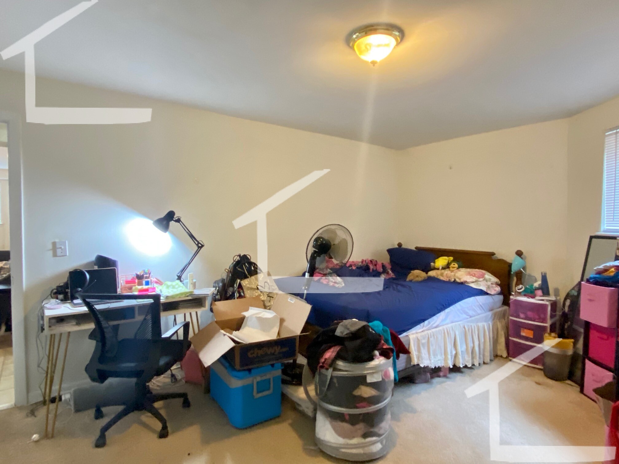 8 Griggs St, Brighton