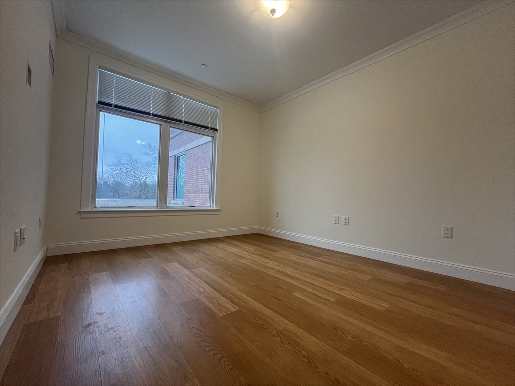 101 Asheville, Chestnut Hill