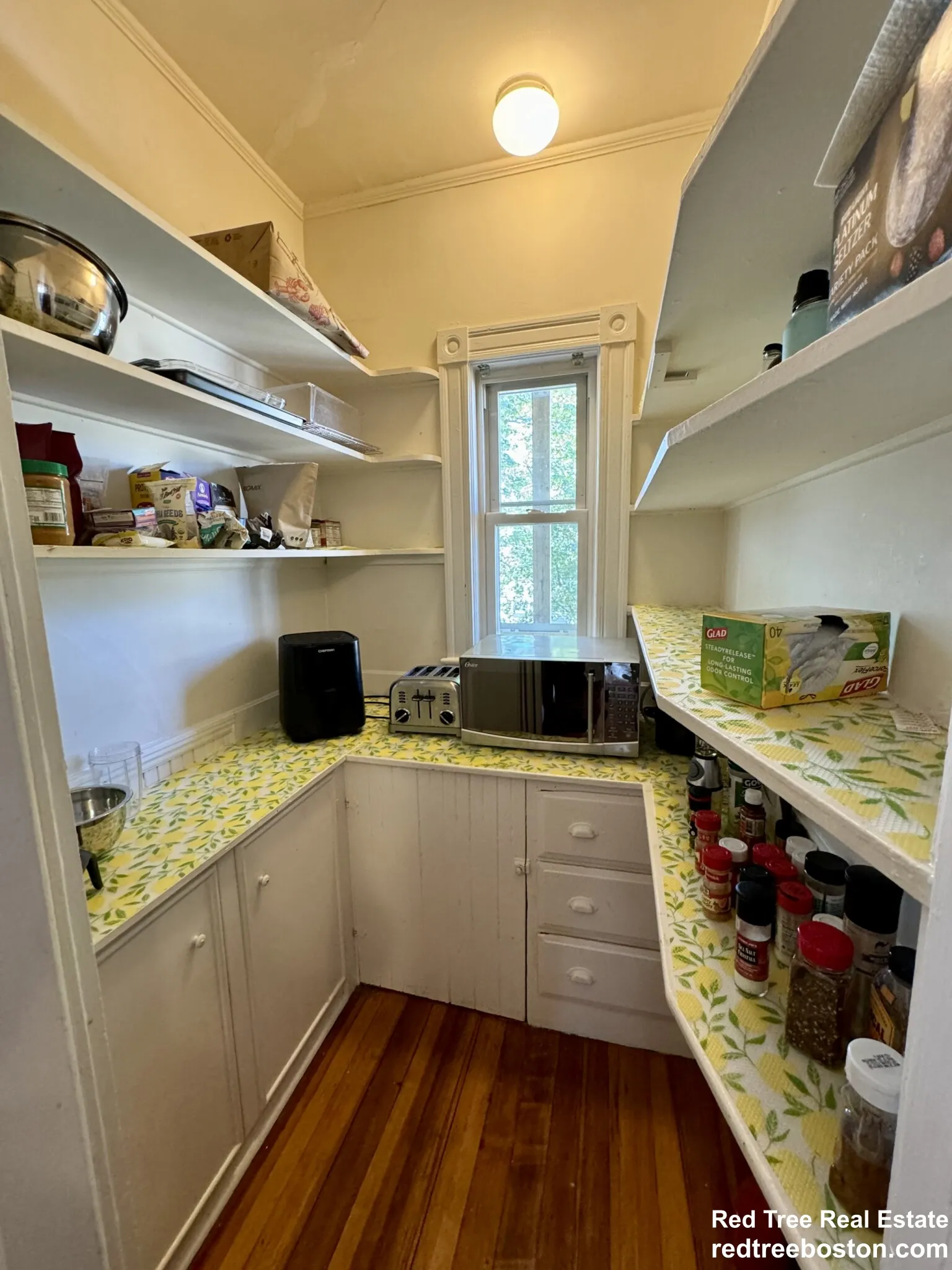11 Wainwright St, Dorchester