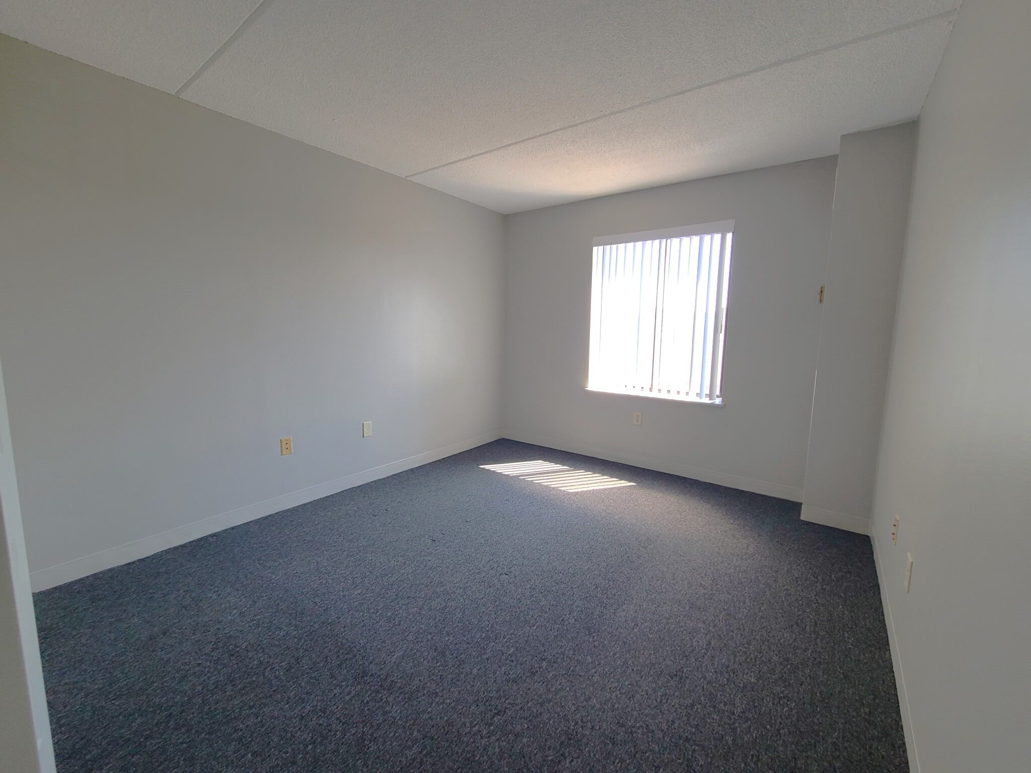 65 North Point Dr, Dorchester