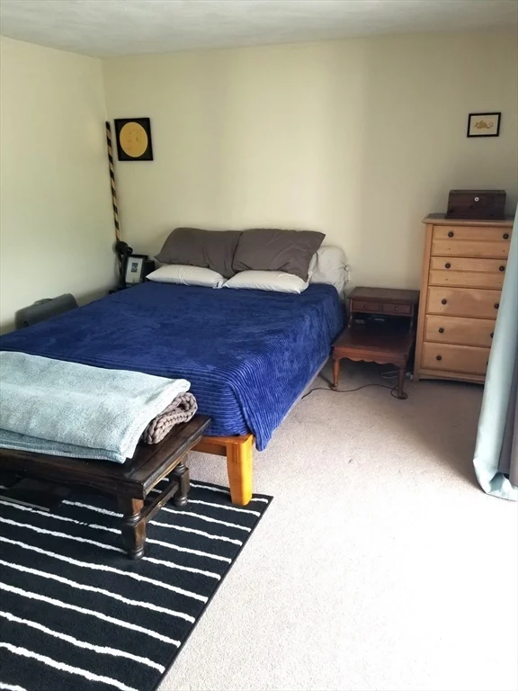 6 Prentiss Rd, Arlington