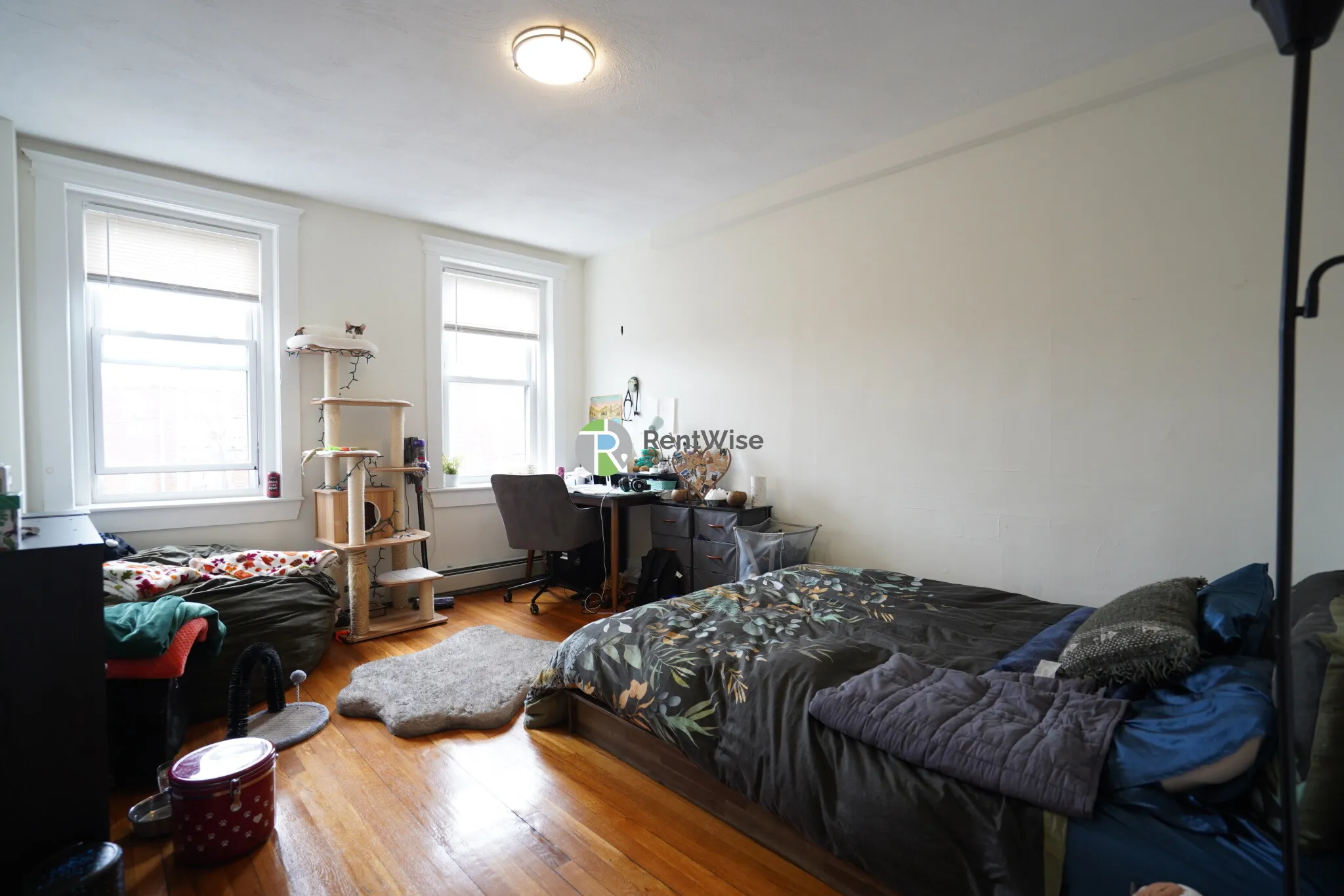 86 Brainerd Rd, Allston