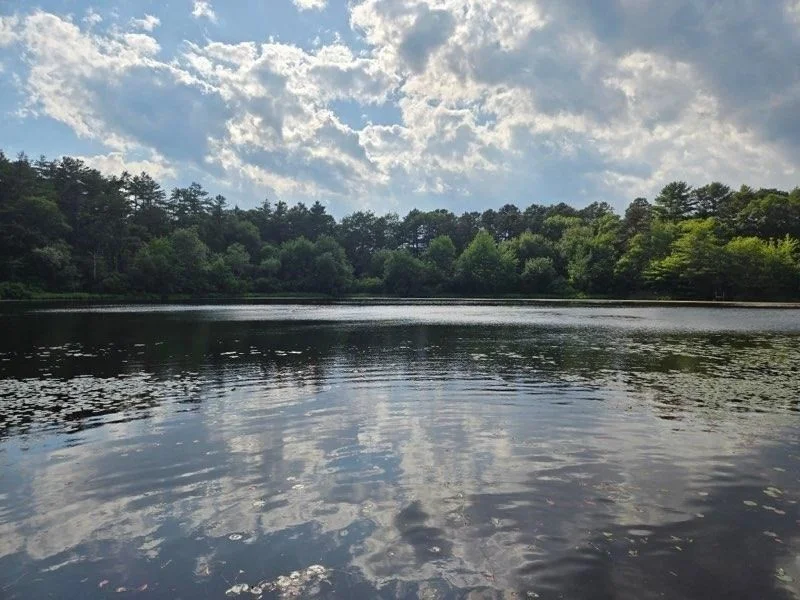 179 Little Sandy Pond Rd, Plymouth