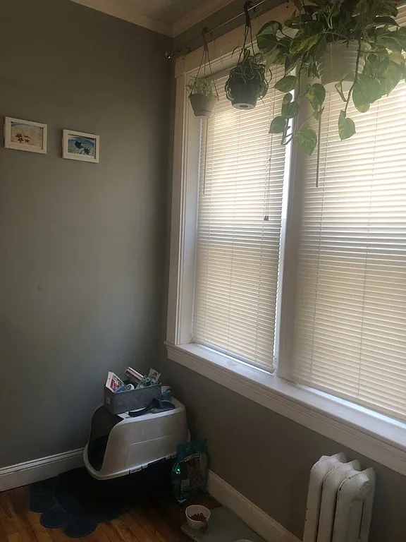 Studio bed, 1 bath apartment for rent at 1637 Commonwealth Ave Unit 3A, Brighton — photo 5 of 7