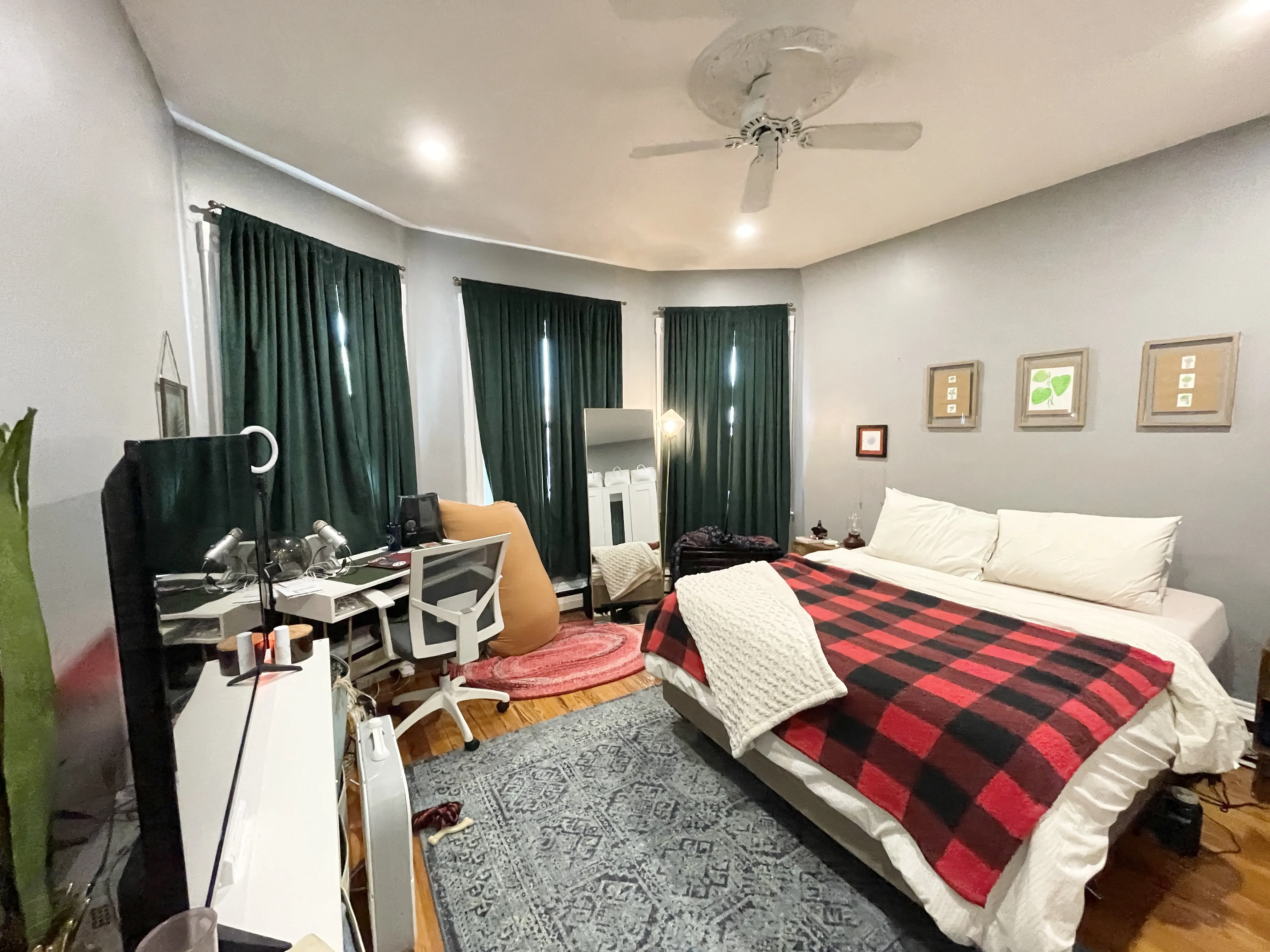 18 Sunset St, Mission Hill