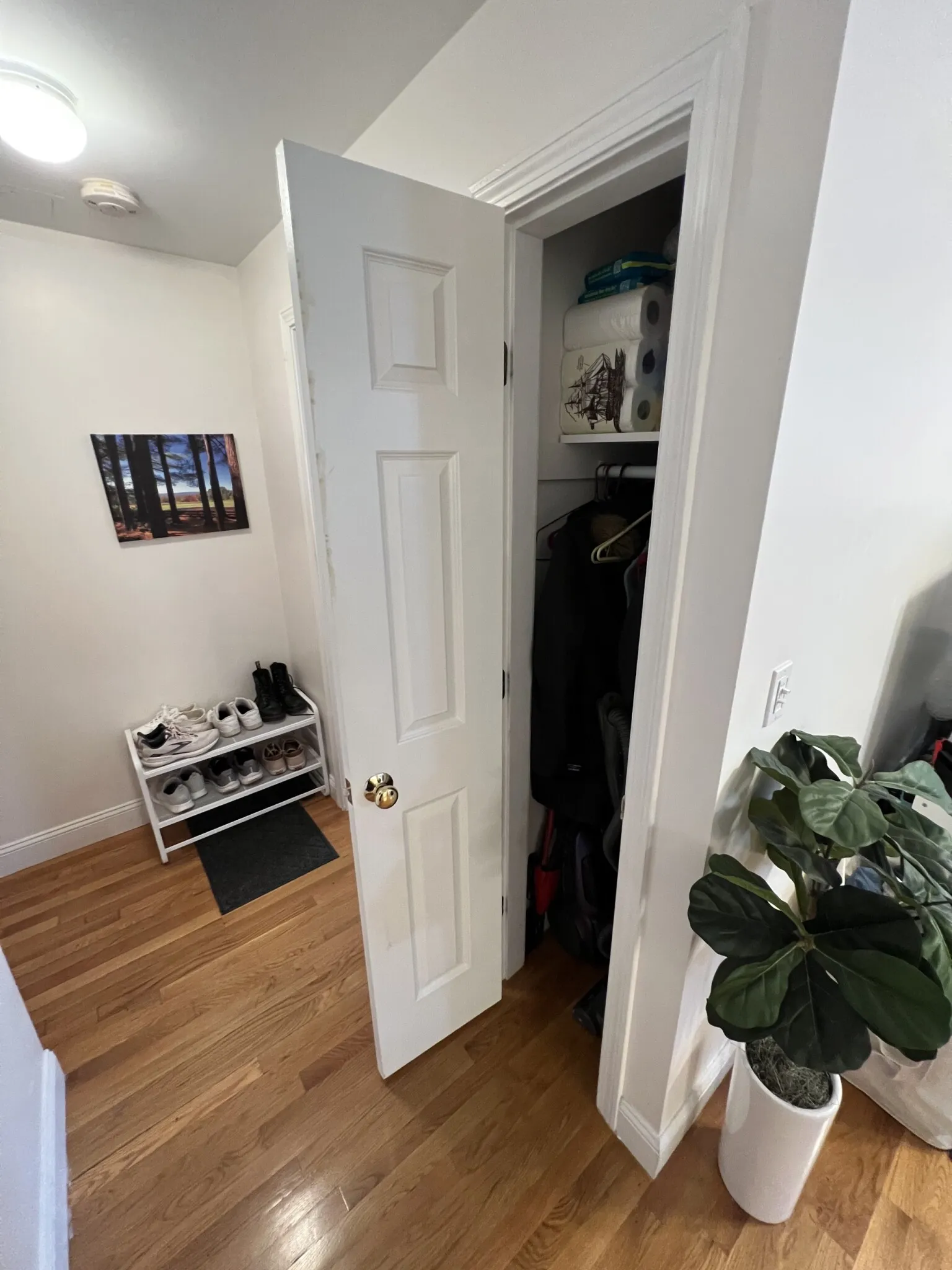 80 Sutherland Rd, Brighton
