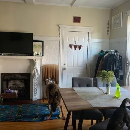 5 Bellvista Rd, Brighton