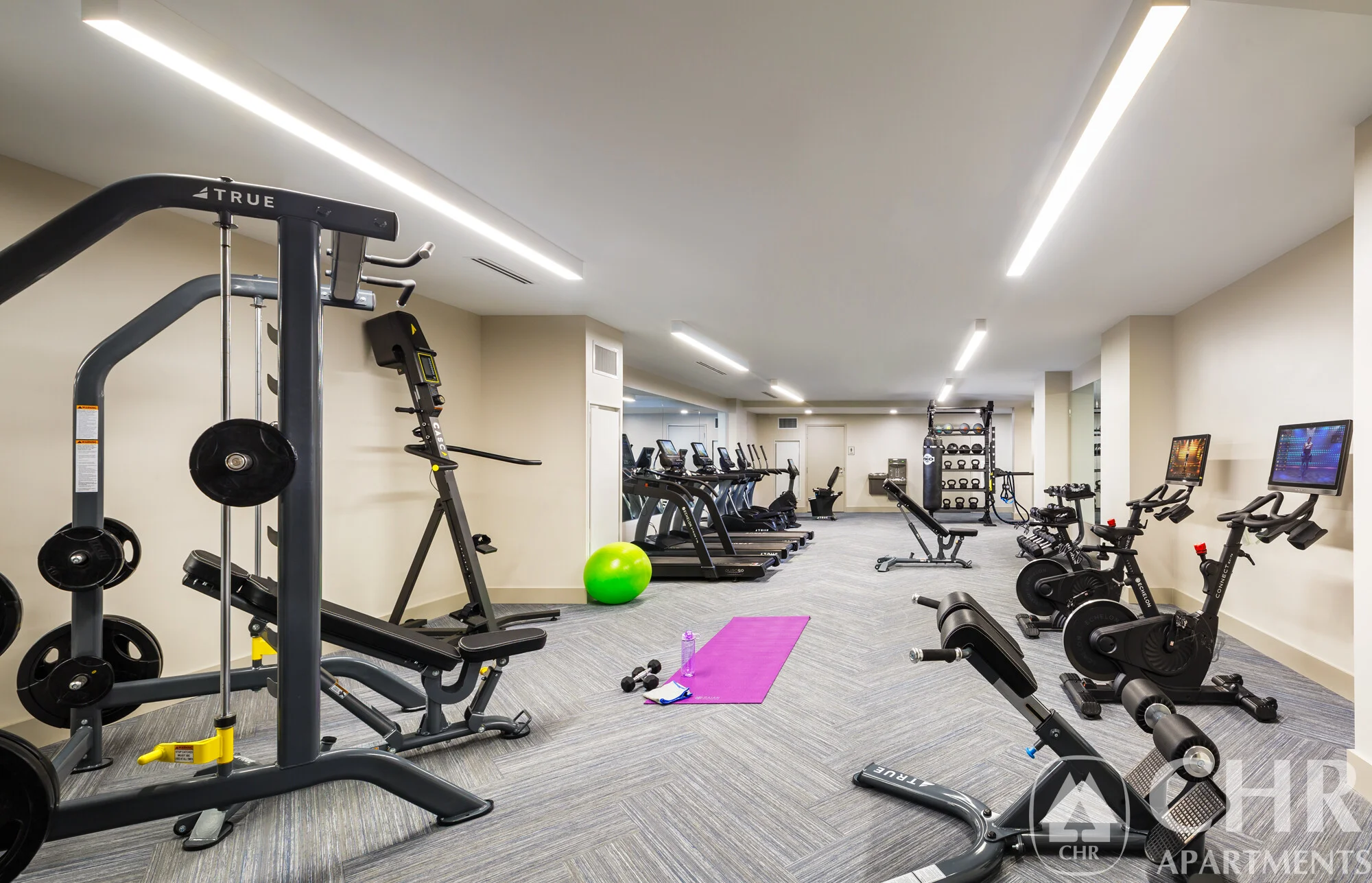 101 Asheville Rd, Chestnut Hill